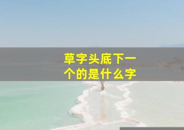 草字头底下一个的是什么字