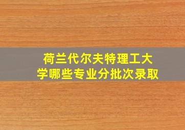 荷兰代尔夫特理工大学哪些专业分批次录取