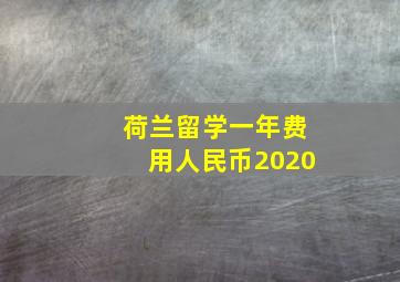 荷兰留学一年费用人民币2020