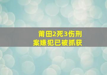 莆田2死3伤刑案嫌犯已被抓获