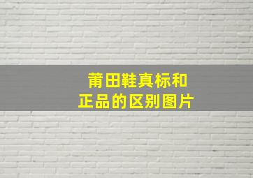 莆田鞋真标和正品的区别图片