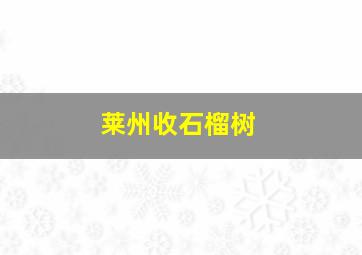 莱州收石榴树