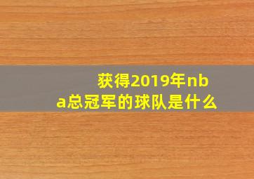 获得2019年nba总冠军的球队是什么