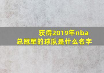 获得2019年nba总冠军的球队是什么名字