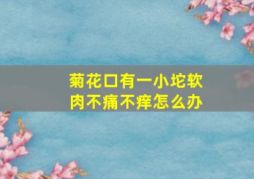 菊花口有一小坨软肉不痛不痒怎么办