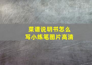 菜谱说明书怎么写小练笔图片高清