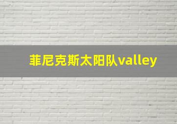 菲尼克斯太阳队valley