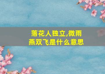 落花人独立,微雨燕双飞是什么意思