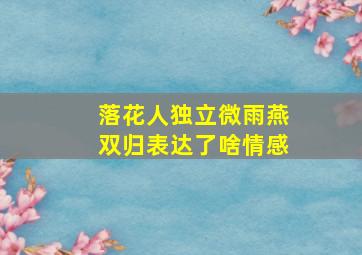 落花人独立微雨燕双归表达了啥情感