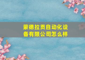 蒙德拉贡自动化设备有限公司怎么样