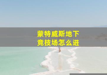 蒙特威斯地下竞技场怎么进