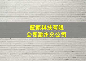 蓝鲸科技有限公司滁州分公司