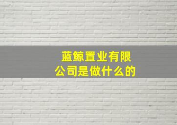 蓝鲸置业有限公司是做什么的