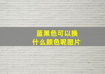 蓝黑色可以换什么颜色呢图片