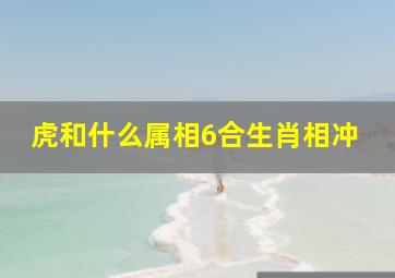 虎和什么属相6合生肖相冲