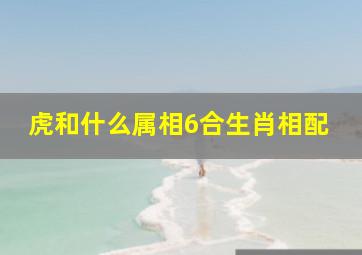 虎和什么属相6合生肖相配