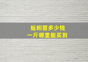 蚯蚓苗多少钱一斤哪里能买到