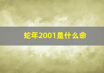 蛇年2001是什么命