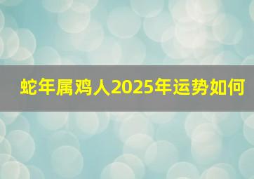 蛇年属鸡人2025年运势如何