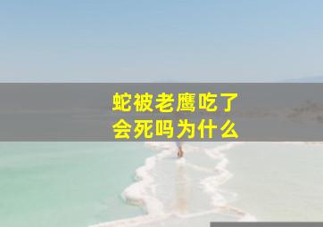 蛇被老鹰吃了会死吗为什么