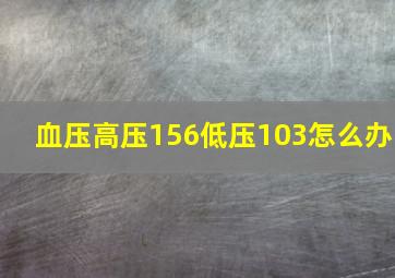 血压高压156低压103怎么办