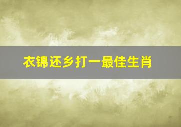 衣锦还乡打一最佳生肖