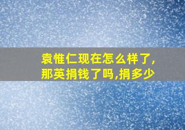 袁惟仁现在怎么样了,那英捐钱了吗,捐多少