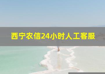 西宁农信24小时人工客服