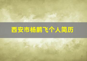 西安市杨鹏飞个人简历