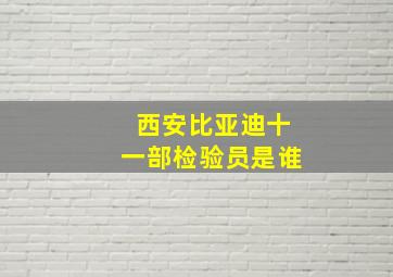 西安比亚迪十一部检验员是谁