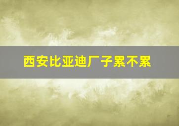 西安比亚迪厂子累不累