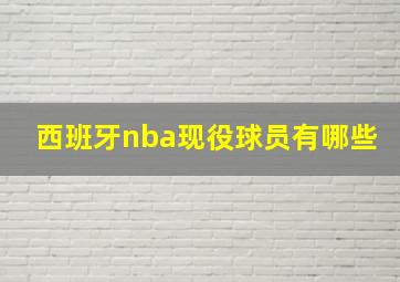 西班牙nba现役球员有哪些