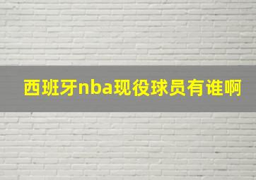 西班牙nba现役球员有谁啊