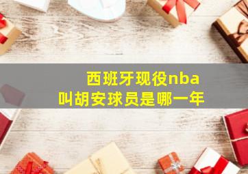 西班牙现役nba叫胡安球员是哪一年