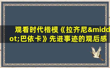 观看时代楷模《拉齐尼·巴依卡》先进事迹的观后感