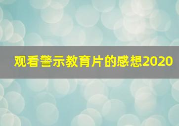 观看警示教育片的感想2020