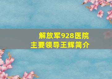 解放军928医院主要领导王辉简介