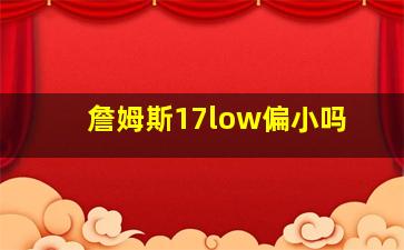 詹姆斯17low偏小吗