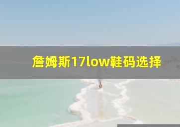 詹姆斯17low鞋码选择