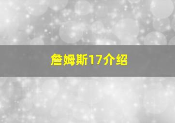 詹姆斯17介绍