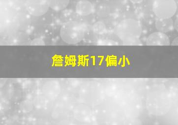 詹姆斯17偏小