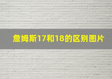 詹姆斯17和18的区别图片