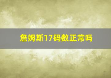 詹姆斯17码数正常吗