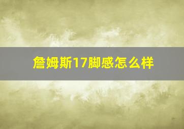 詹姆斯17脚感怎么样