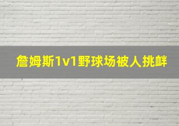 詹姆斯1v1野球场被人挑衅