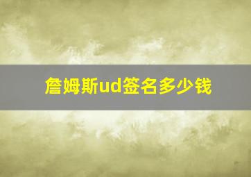 詹姆斯ud签名多少钱