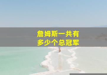 詹姆斯一共有多少个总冠军