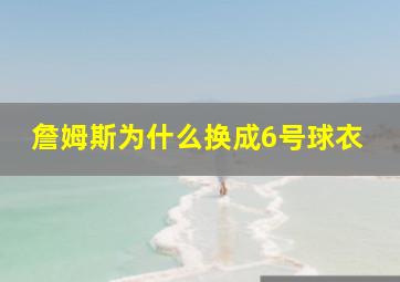 詹姆斯为什么换成6号球衣