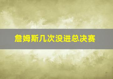 詹姆斯几次没进总决赛