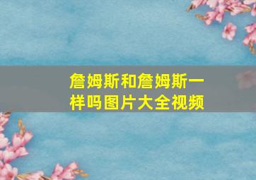 詹姆斯和詹姆斯一样吗图片大全视频